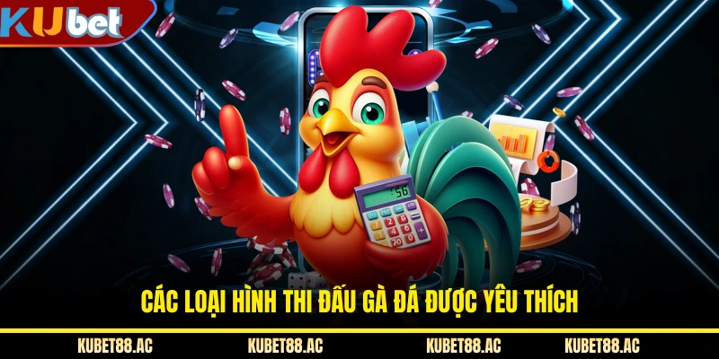 Các loại hình thi đấu gà đá được yêu thích