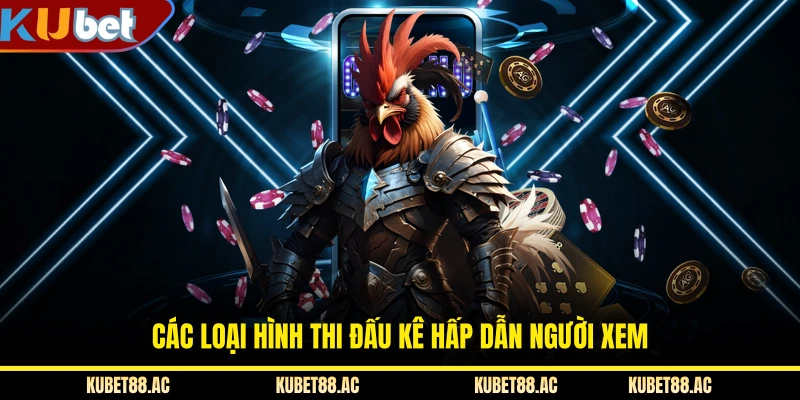 Các loại hình thi đấu kê hấp dẫn người xem