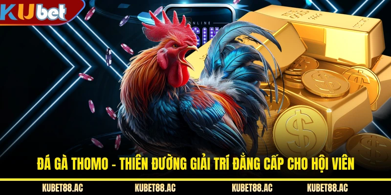 Đá Gà Thomo - Thiên Đường Giải Trí Đẳng Cấp Cho Hội Viên