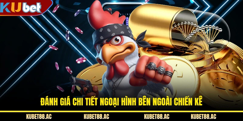 Đánh giá chi tiết ngoại hình bên ngoài chiến kê