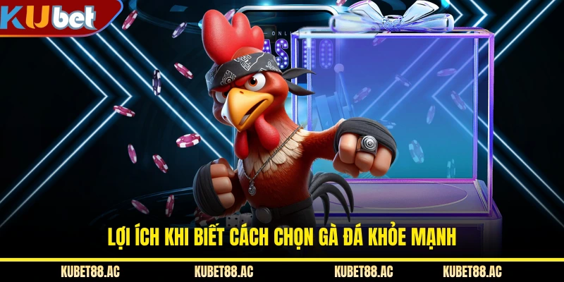 Lợi ích khi biết cách chọn gà đá khỏe mạnh