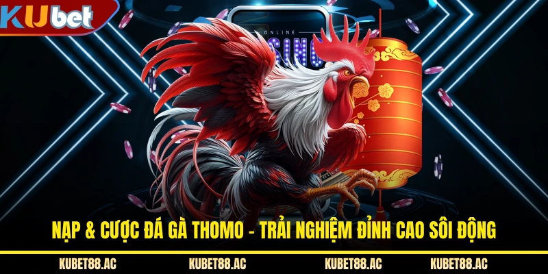 Nạp & Cược Đá Gà Thomo - Trải Nghiệm Đỉnh Cao Sôi Động