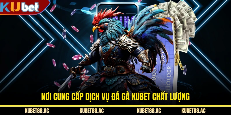 Nơi cung cấp dịch vụ đá gà KUBET chất lượng