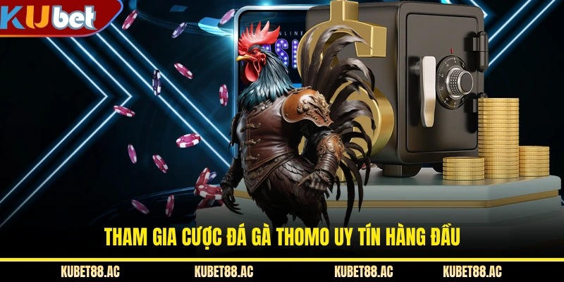 Tham gia cược đá gà Thomo uy tín hàng đầu