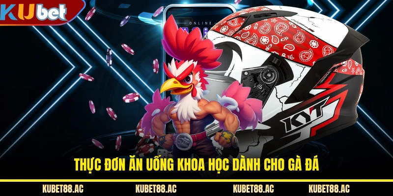 Thực đơn ăn uống khoa học dành cho gà đá