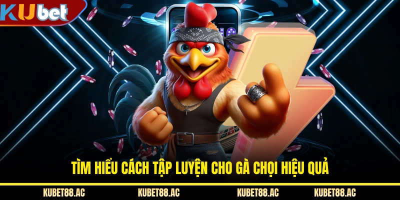 Tìm hiểu cách tập luyện cho gà chọi hiệu quả